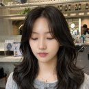 보네헤어