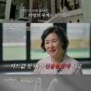 섬김유통 | 서장훈도 놀란 230억 만두퀸 남미경 대표 성공 스토리