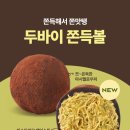 파리바게뜨 양재하나로점 | 파리바게뜨 두바이 쫀득볼 출시, 피스타치오 디저트 직접 살펴본 정리