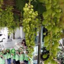 중흥2동 행정복지센터 앞 이미지