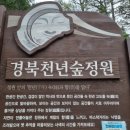 천년광장 | ♠경주남산 등산 후 다녀왔어요: 포석정 &amp; 경북천년숲정원(강추)