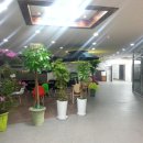 오케이골프연습장 이미지