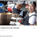 금빛유기