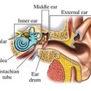친한의원 이미지
