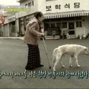 동물농장 - 양산시 양산역로 85 | 동물농장