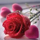 Here I Go Again_ Whitesnake/I Need You · ision/Conway Twitty - Don't Cry ~ 이미지