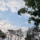 갈밭숯불뒷고기 이미지