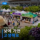 선순농장 | 아이와 2026 김천 포도축제 주차 만차 시각, 농장 체험 예약 동선 팁