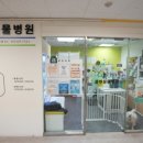 죽전 쿨펫동물병원 이미지