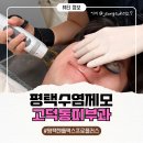 젠틀독 | 평택고덕동피부과에서 젠틀맥스프로플러스 풀페이스 수염제모받고 매일 아침 면도지옥 탈출한 솔직후기