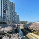 동삼지구대 이미지