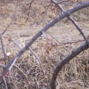 정호2농장 이미지