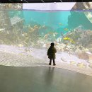 자원목장 | 양평 1박2일 여행 코스 1일차 : 부뚜막생선구이, 양떼목장, 민물고기 생태학습관
