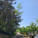 환호그린빌시장 이미지