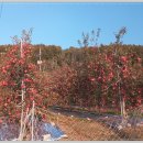 적상주유소 이미지