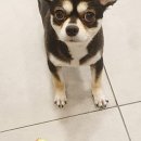 너.애.개 이미지