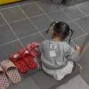 부산 서면 롯데백화점 키즈카페 챔피언 29개월 아기 솔직후기