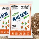 법인탑블루베리