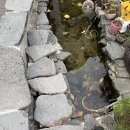 덕포한샘유치원 이미지