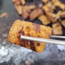 초원돌구이 | 궁동 맛집! 대전무한리필, 초원돌구이 후기