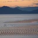 달마스테이 이미지