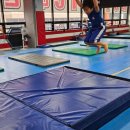 FTC 호림 합기도 이미지