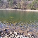 봉암동103 이미지