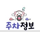 도그 앤 조이 이미지