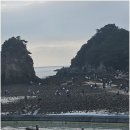 꽃지늘봄펜션 | 가족, 연인과 특별한 추억을 만들기 좋은 태안펜션 방문기