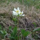 초원꽃화원 이미지