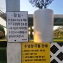 안면도솔바다 네이버블로그