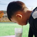 안동 산약테마공원 , 스페이스 마 카페 , 피자만들기 체험