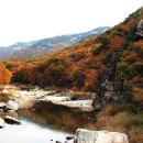 11월 6일(일요일) 천천히 걷는 사람들 정기도보(충북 괴산 화양구곡) 이미지