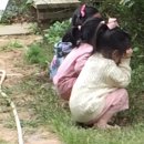 술레잡기 네이버블로그
