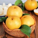 보성우체국 | 제철 과일 특가! 보성 골드키위·나주배·장성 대봉감, 남도의 달콤함이 가득 🍐