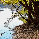 내수면환경생태공원주차장 이미지