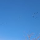 본포수변공원(주차장) 이미지