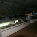 주성교육