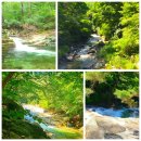 태릉입구역 1번출구 버스정류장 이미지