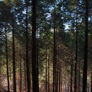 순천만의 추억 이미지