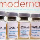 에스티바이오 이미지