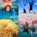 보홀 태교여행 임산부 발리카삭 호핑투어 (with 오디제이투어)