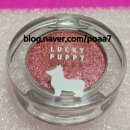 사랑하시개 이미지