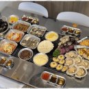 감성조개 이미지