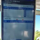 부산 울산 골프장 / 주말 1부 라운드 후기 + 근처 식당 서생이화/ 카페 Fe01추천 + 그린 / 페어웨이...