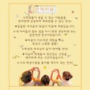 김영오 아트센터 이미지