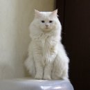 난향동-2 이미지