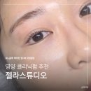 디자인글루 | 송파구 문정 속눈썹펌 추천 노글루로 진행되는 1:1 맞춤 디자인 후기 젤라스튜디오
