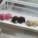 우주요거트앤아이스크림 | 이문동 카페 요거트앤 요거트아이스크림 포장 후기