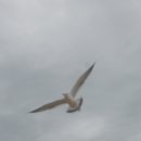 안양2동-1 이미지